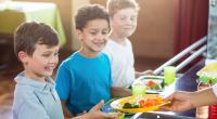 In Freiburgs Kitas und Grundschulen soll es demnächst nur noch vegetarische Kost geben.