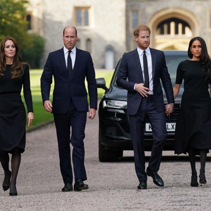 Royals-Experten lassen Prinz Harrys unheilvolle Thronfolger-Verschwörung auffliegen
