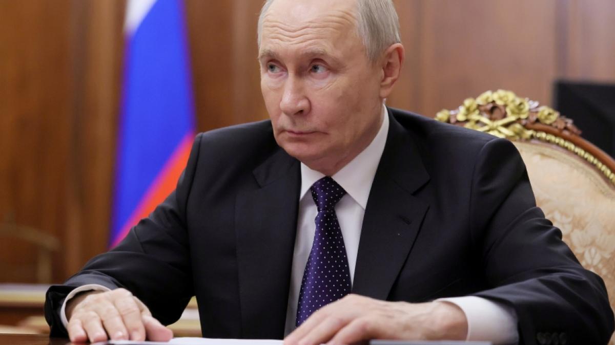 Wladimir Putin sorgte auch in dieser Woche f&uuml;r Schlagzeilen. (Foto)