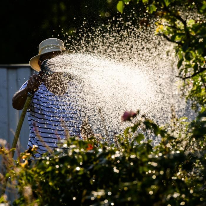 Dürre-Gefahr! So schützen Sie Ihren Garten vor der aktuellen Hitzewelle