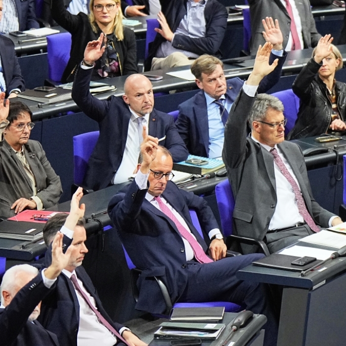 Vorschlag der AfD setzt sich im Bundestag durch