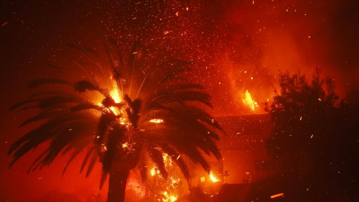 Feuer verbrennt B&auml;ume und H&auml;user im Stadtteil "Pacific Palisades" von Los Angeles, wo zahlreiche Prominente ihr Anwesen haben. (Foto)