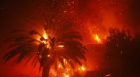 Feuer verbrennt Bäume und Häuser im Stadtteil 