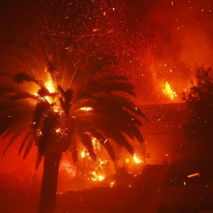 Diese Promis verloren ihr Zuhause im Flammen-Inferno