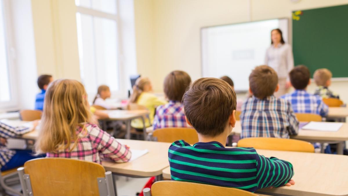 An einer Leipziger Grundschule l&ouml;ste ein unbekanntes Virus eine Erkrankungswelle aus. (Foto)