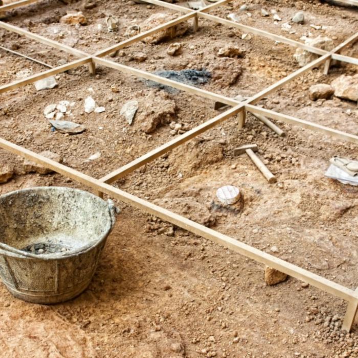 Forscher überrascht! Aggressive Pestkrankheit merzte Zivilisation aus
