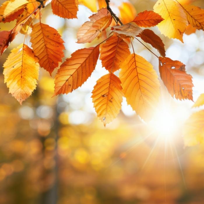 Hoch bringt Spätsommer zurück - Temperaturen schießen wieder auf 26 Grad