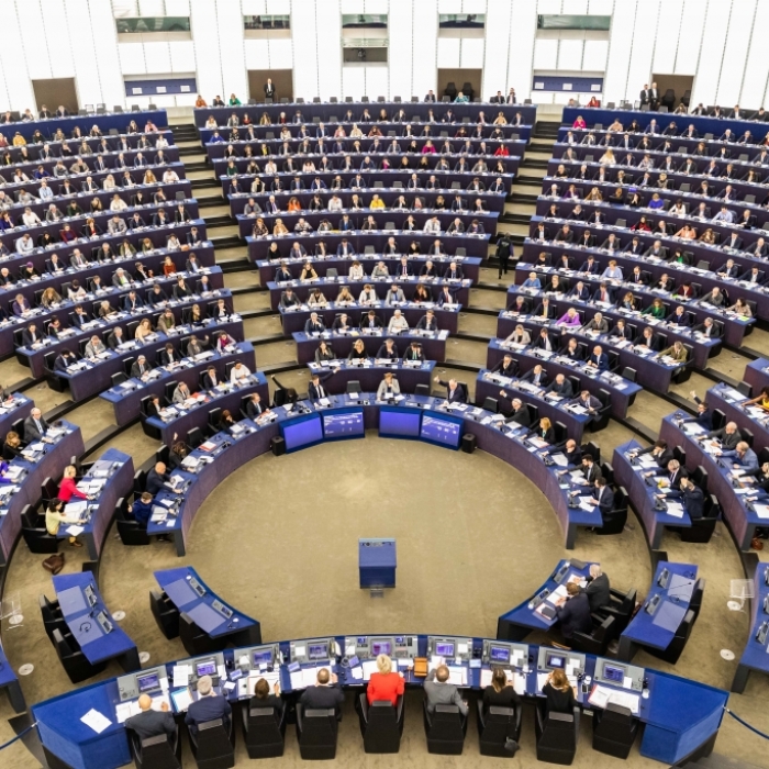Deutsche EU-Abgeordnete stimmen mit großer Mehrheit gegen Antrag