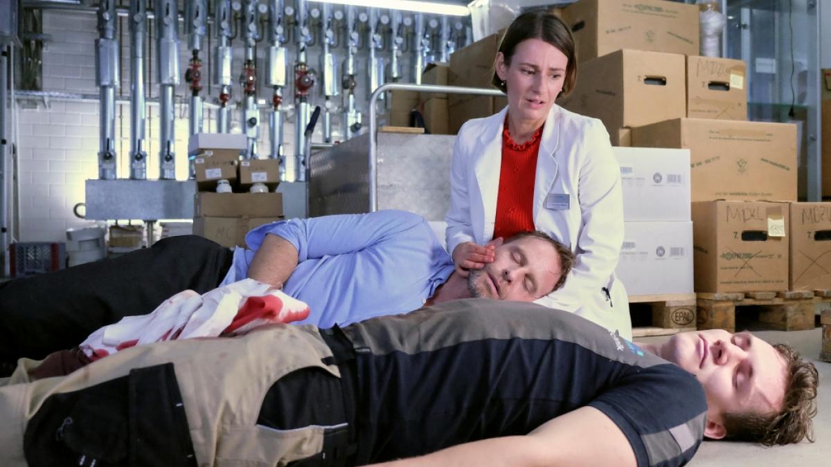"In aller Freundschaft" schwebt Dr. Kai Hoffmann in Lebensgefahr. (Foto)