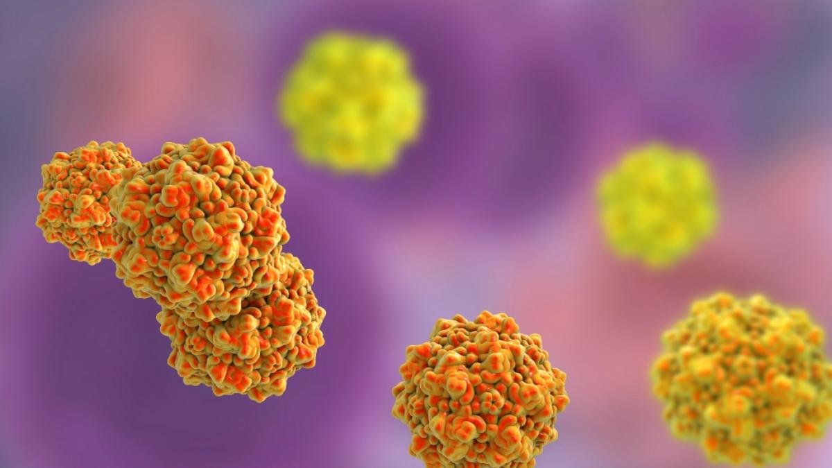 Ringelr&ouml;teln werden durch das sogenannte Parvovirus B19 ausgel&ouml;st. (Foto)