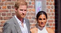 Prinz Harrys Verbissenheit soll Meghan Markle zur Verzweiflung treiben, wie ein Royals-Insider nun enthüllte.
