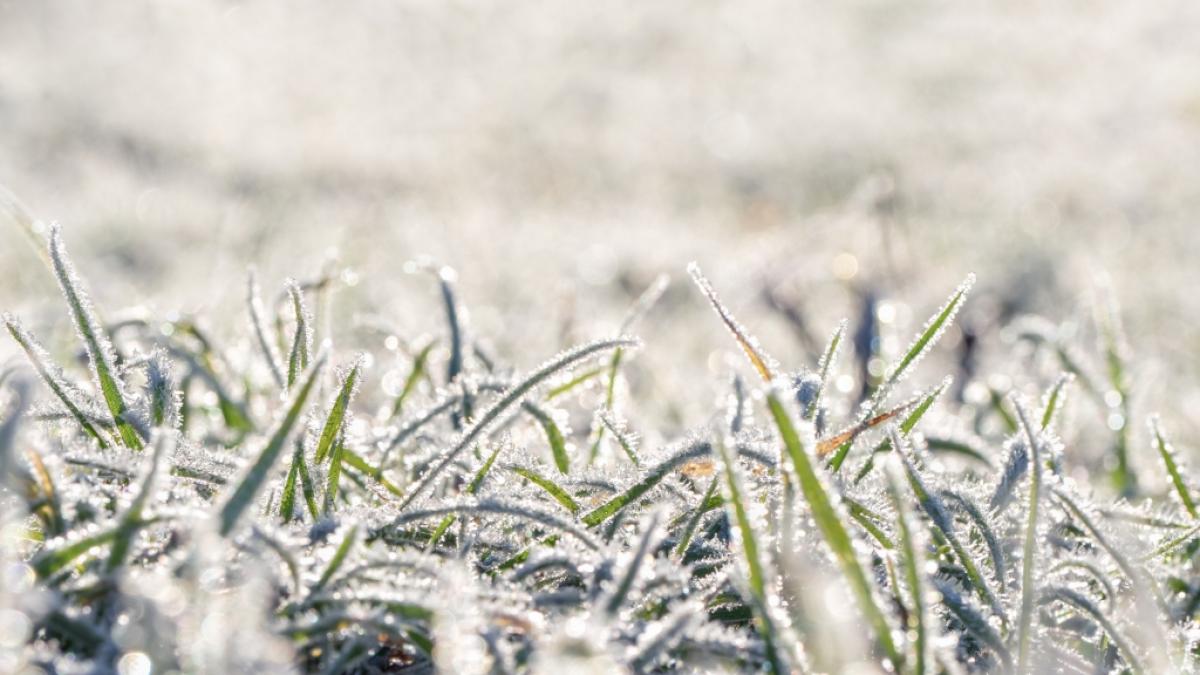 Am Wochenende l&auml;sst Polarluft die Temperaturen gewaltig purzeln. (Foto)