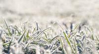 Am Wochenende lässt Polarluft die Temperaturen gewaltig purzeln.