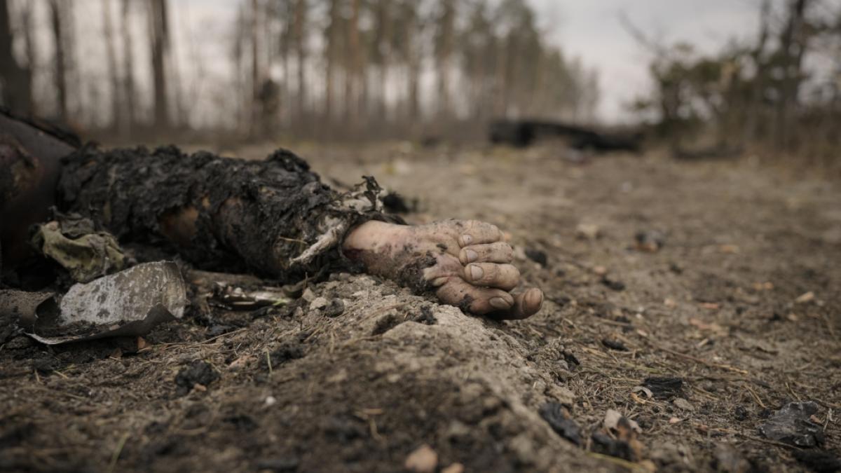 Ein YouTuber zeigt etliche Leichen russischer Soldaten im Netz. Mit den schockierenden Aufnahmen will er die russische Bev&auml;lkerung &uuml;ber wahre Kriegsgeschehen aufkl&auml;ren. (Foto)