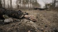 Ein YouTuber zeigt etliche Leichen russischer Soldaten im Netz. Mit den schockierenden Aufnahmen will er die russische Bevälkerung über wahre Kriegsgeschehen aufklären.