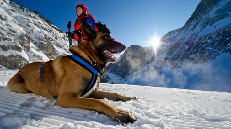 Der Schnee hat den Alpenraum weiter fest im Griff.