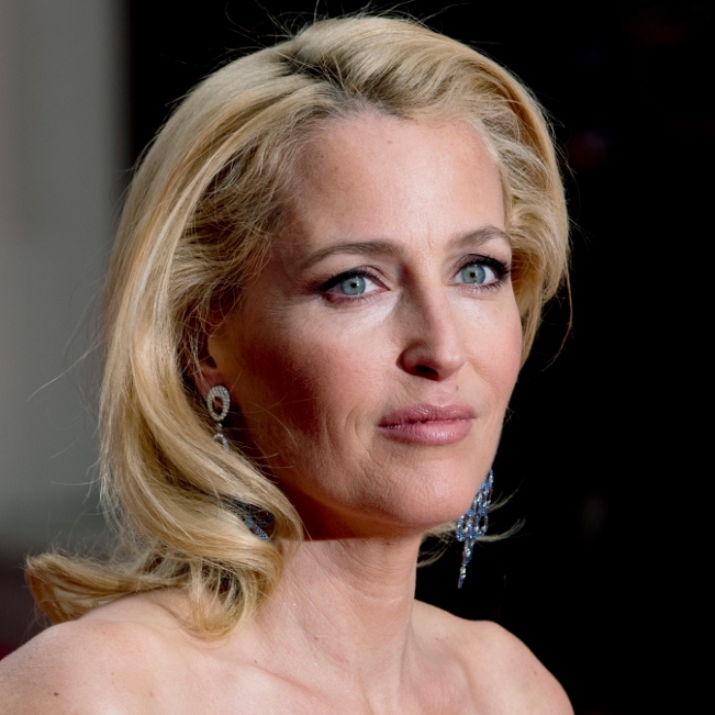 Karriere, Kinder, Scheidung - Was wurde eigentlich aus Agent Scully?
