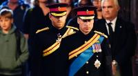 Die Prinzen William und Harry gelten als seit geraumer Zeit zerstritten - nun kam es zum überraschenden Wiedersehen der Brüder.