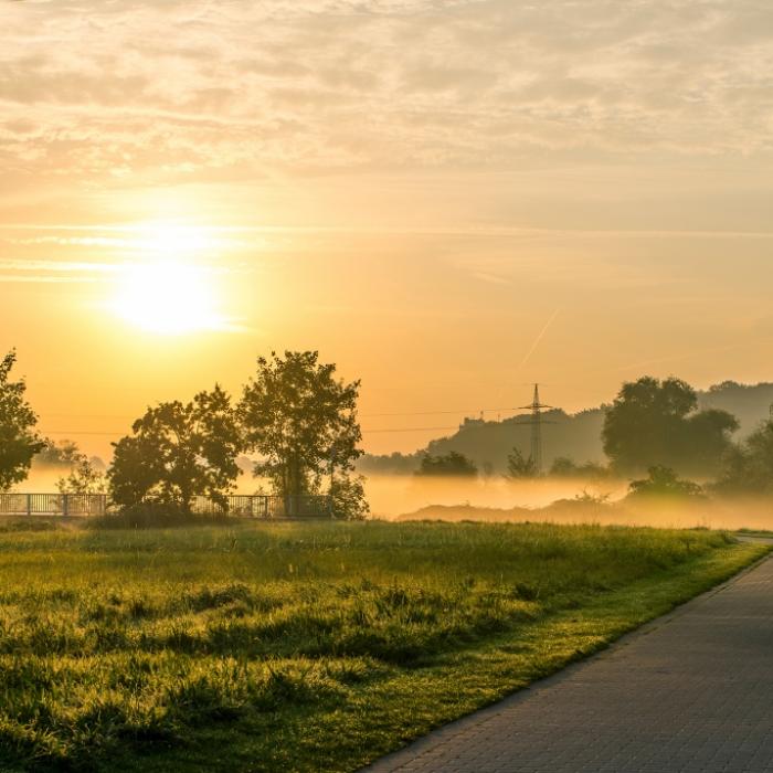 Frost im Herbst? Das prophezeit der 100-jährige Kalender