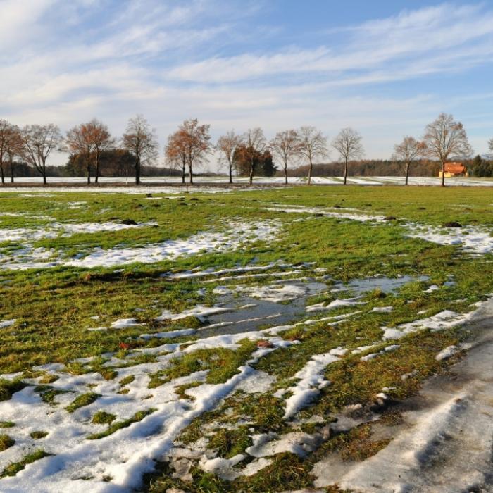 Winter endgültig abgesagt? Experte kündigt 
