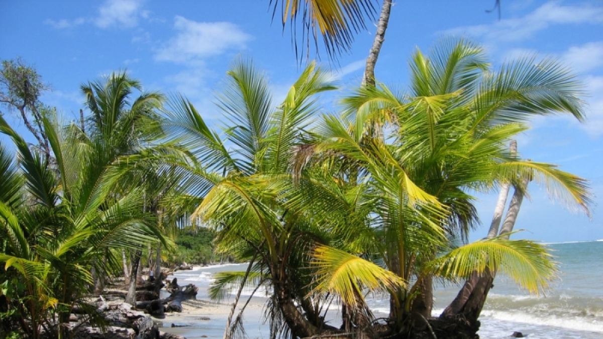 Costa Rica (Foto)