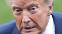 Verlieren die USA aufgrund Donald Trumps aggressiver Politik die Führungsrolle bei Cleantech?