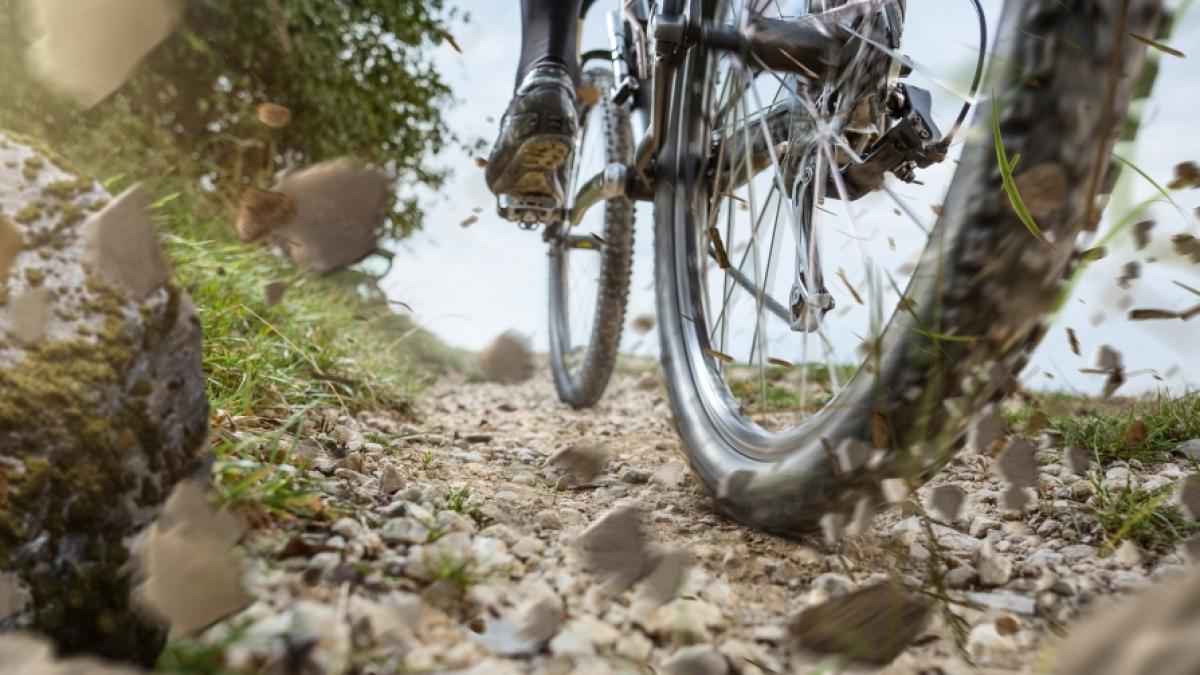 Der Mountainbike-Marathon in Neustadt an der Weinstra&szlig;e ist am Wochenende von einem t&ouml;dlichen Zwischenfall &uuml;berschattet worden (Symbolfoto). (Foto)
