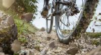 Der Mountainbike-Marathon in Neustadt an der Weinstraße ist am Wochenende von einem tödlichen Zwischenfall überschattet worden (Symbolfoto).