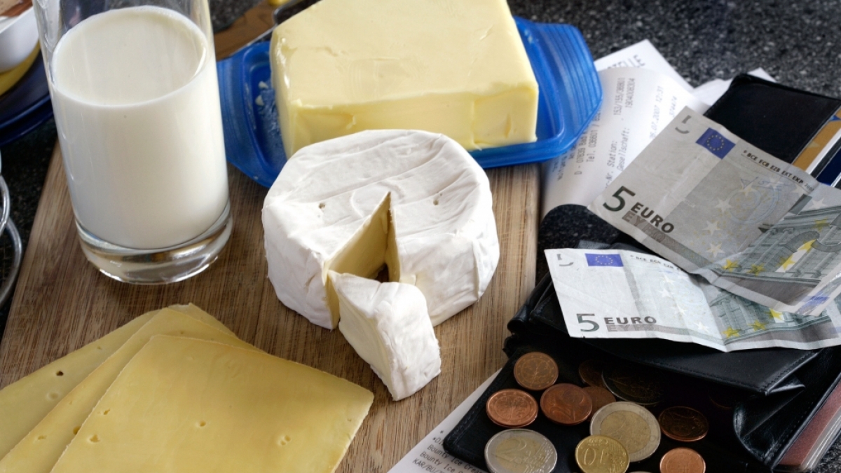 Milch und K&auml;se werden k&uuml;nftig noch teurer. (Foto)