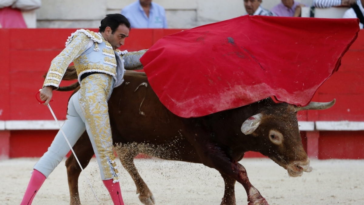 Torero Enrique Ponce hat sich schwer verletzt. (Foto)