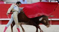 Torero Enrique Ponce hat sich schwer verletzt.