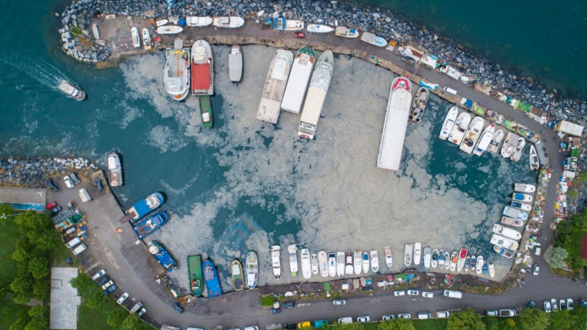 Ein Schleimteppich, auch "Meeresrotz" genannt, bereitet sich auf dem Marmarameer in der T&uuml;rkei aus - mit t&ouml;dlichen Folgen f&uuml;r die Unterwasserwelt. (Foto)