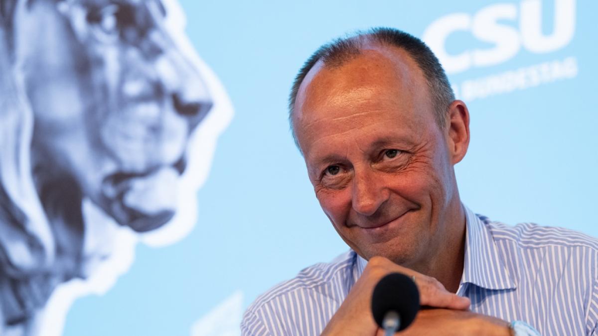 Friedrich Merz schockte mit bizarrem AfD-Vergleich. (Foto)