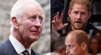 Neben König Charles III. war in den Royals-News auch für Prinz Harry und Prinz William Platz.