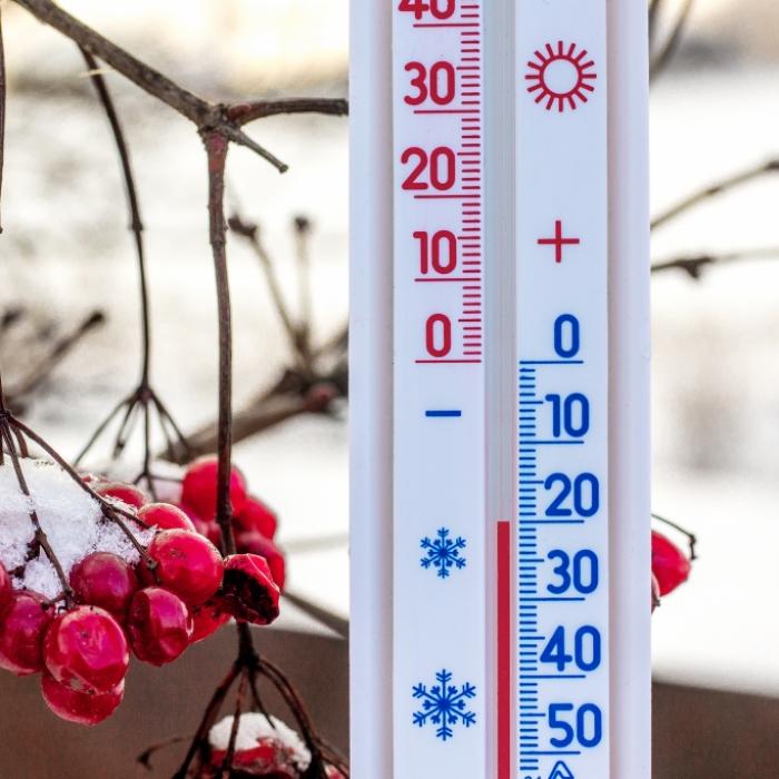 Sibirische Kälte kracht auf Deutschland - bis zu minus 20 Grad drohen