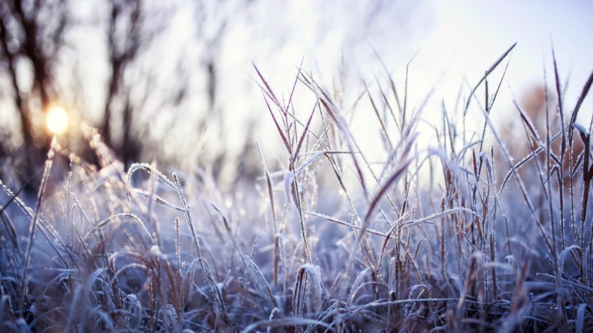 Polarluft sorgt am Wochenende f&uuml;r kalte N&auml;chte. (Foto)