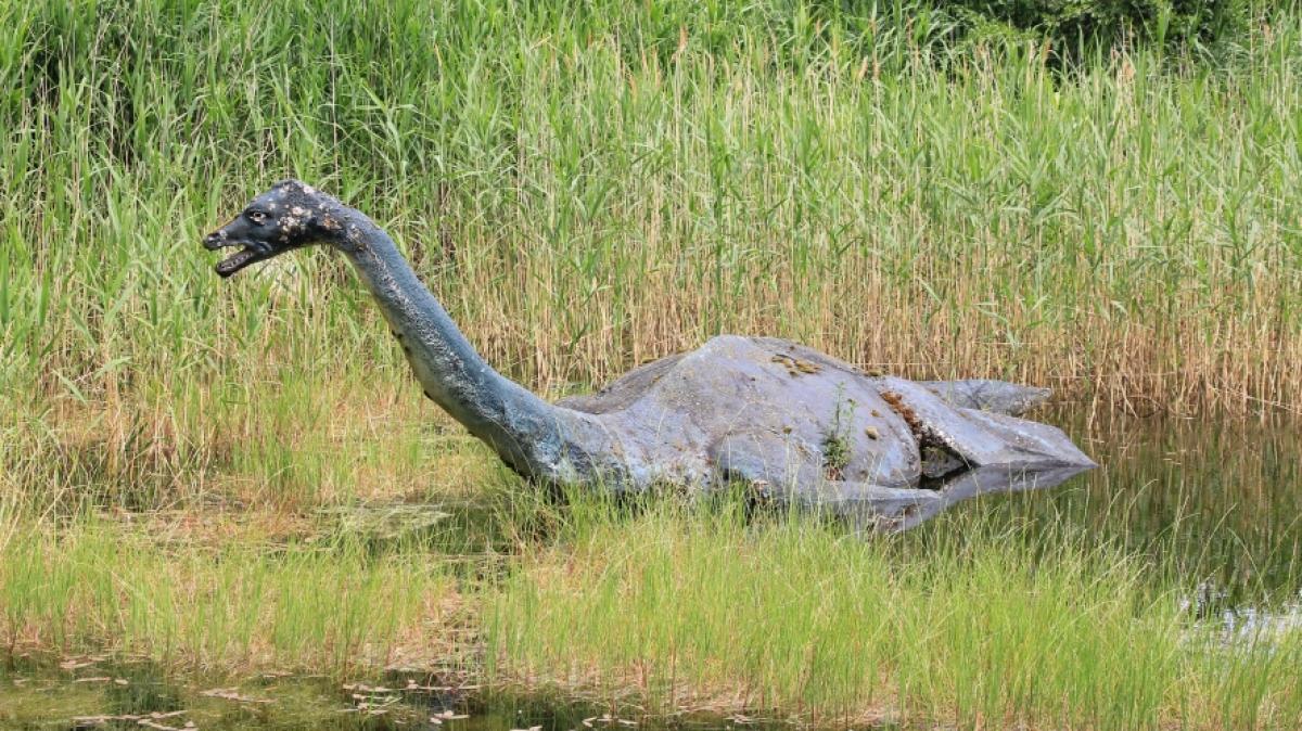 Wurde Nessie etwa schon wieder gesehen? (Foto)