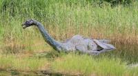 Wurde Nessie etwa schon wieder gesehen?