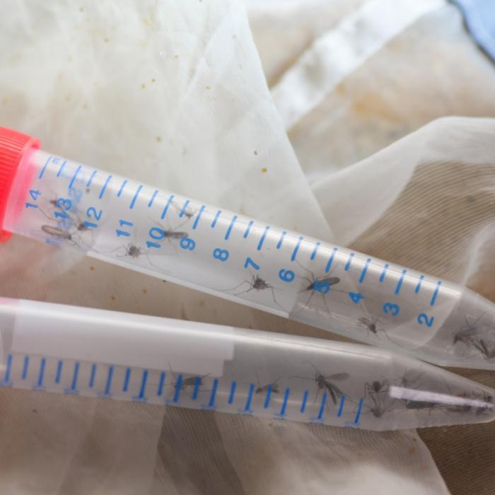 Heimtückische Infektionen auf dem Vormarsch - Experten alarmiert