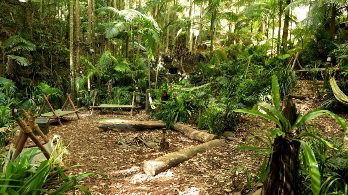 Wer zieht n&auml;chstes Jahr ins RTL-Dschungelcamp? Alle Folgen der 16. Staffel k&ouml;nnen Sie noch einmal bei RTL+ sehen. (Foto)