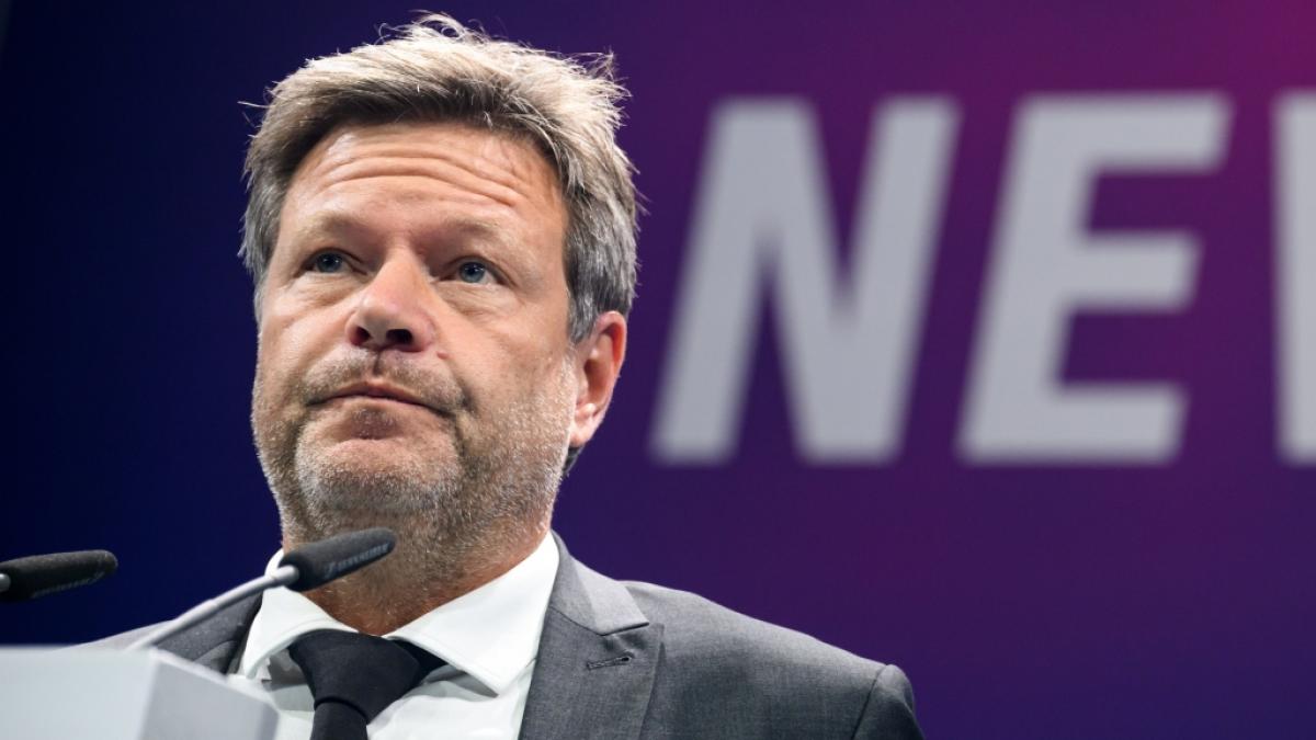 Bundeswirtschaftsminister Robert Habeck wird nach dpa-Informationen am Donnerstagvormittag die Alarmstufe des Notfallplans Gas ausrufen. (Foto)