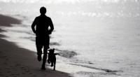 Ein Hund hat eine Joggerin angefallen.