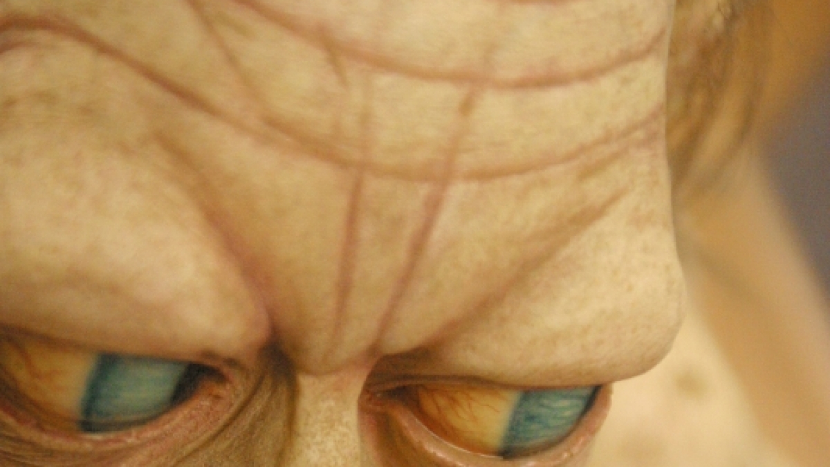 Eine Nachbildung der Figur des Gollum aus dem Film "Herr der Ringe". (Foto)
