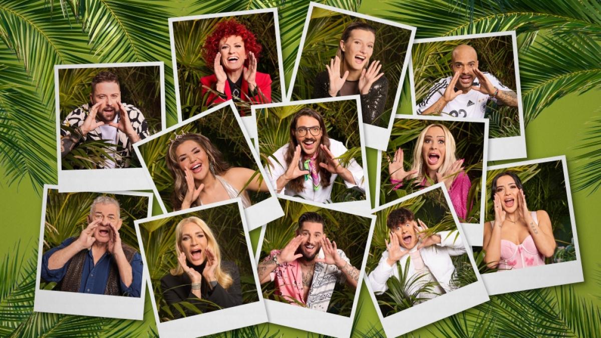Welcher IBES-Star schnappt sich die Dschungelkrone im Jahr 2024? (Foto)