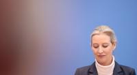 Alice Weidel warf dem ukrainischen Präsidenten Wolodymyr Selenskyj bei 