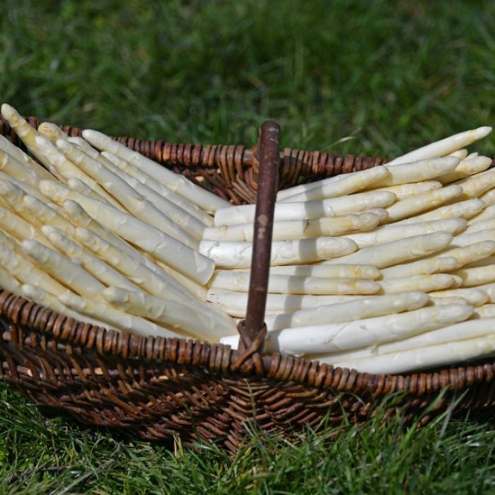 Startschuss für die Spargelzeit - Wann und wo gibt's jetzt deutschen Spargel?