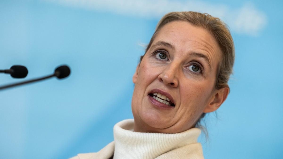 F&uuml;r AfD-Chefin Alice Weidel gibt es schlechte Neuigkeiten. (Foto)