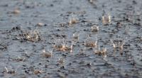 Der Deutsche Wetterdienst warnt vor ergiebigem Dauerregen.