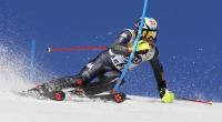 Die Ski-alpin-Herren gastieren dieser Tage in Aspen im US-Bundesstaat Colorado, wo im Rahmen der Weltcup-Wettkämpfe Abfahrt und Super-G auf dem Programm stehen.