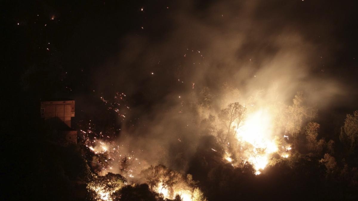 W&auml;hrend in Algerien eine Feuerwalze W&auml;lder niederbrennt, wurde ein Mann von einem Mob lebendig verbrannt. (Symbolfoto) (Foto)